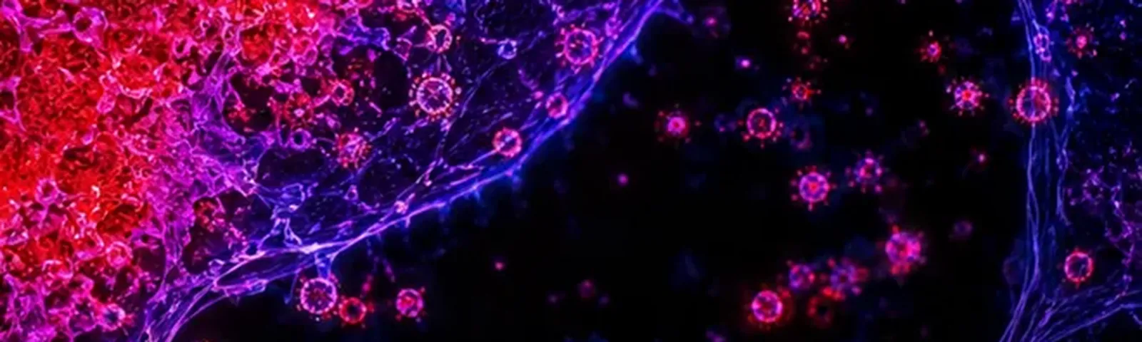 Molecular fluorescence imaging — Auspicious Laboratory, Houston